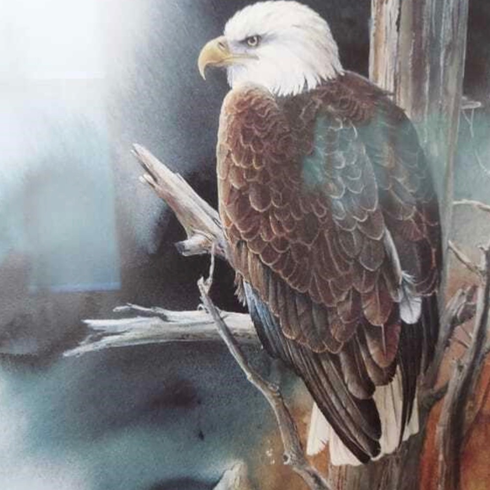 The Watch by MIKE CAPSER